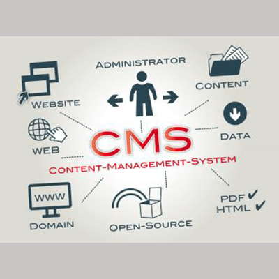 Maharaja Infotech All Type of CMS